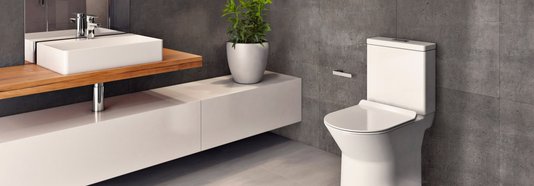Bacia com Caixa Acoplada Docol Lift com Assento e Fixação Branca