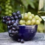 Bowl Staub Ceramica 12cm Azul Marinho