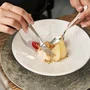 Conjunto de Talheres Zwilling Dinner  68 Peças Aço Inox 18/10