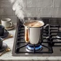 Fervedor Tramontina Allegra em Aço Inox 12 cm 1,4L